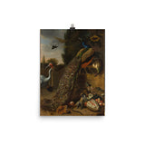 Peacocks Art Print - Melchior d' Hondecoeter