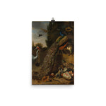 Peacocks Art Print - Melchior d' Hondecoeter