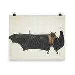 Great Indian Fruit Bat Painting - Enhanced Art Print