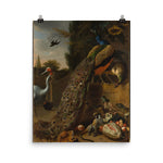 Peacocks Art Print - Melchior d' Hondecoeter