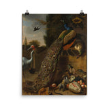 Peacocks Art Print - Melchior d' Hondecoeter