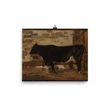 Cow in a Barn Art Print - Camille Corot