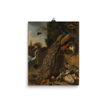 Peacocks Art Print - Melchior d' Hondecoeter